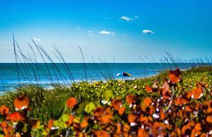 Flórida, um Paraíso