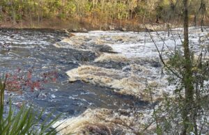 Rodando por aí… Big Shoals State Park, White Springs