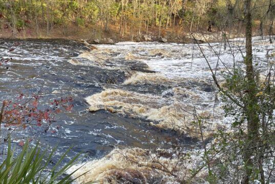 Rodando por aí… Big Shoals State Park, White Springs