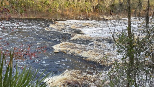Big-Shoals-overlook-north-side Big Shoals State Park, White Springs