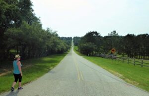 Rodando por aí…
